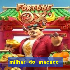 milhar do macaco que mais saem no jogo do bicho